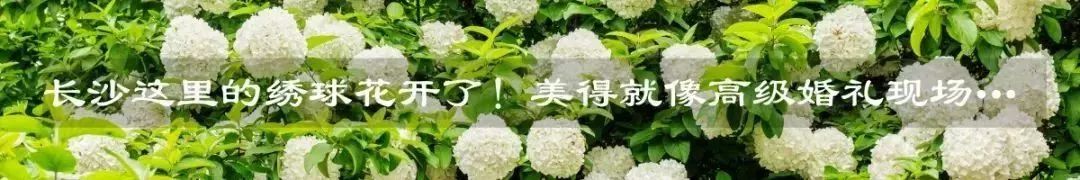 棉柔巾100%纯棉测评,什么牌子的棉柔巾好用实惠