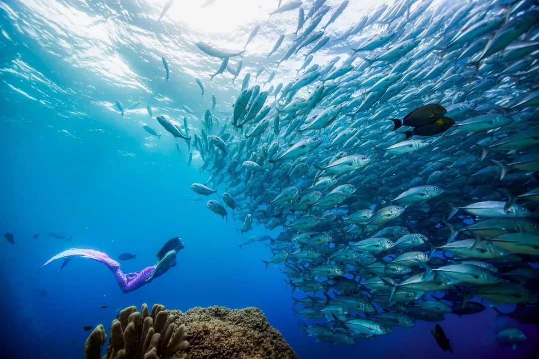 刚刚登上热搜的海上天堂，用马代1/5的钱就能玩到嗨，端午往返机票才1k+！