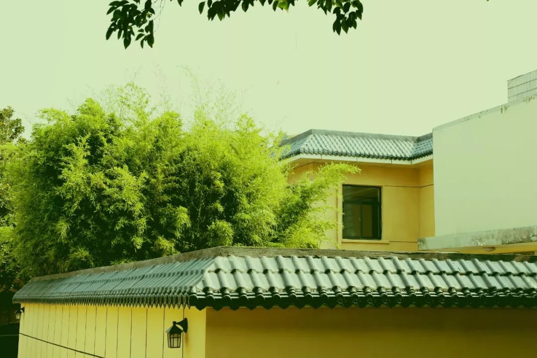 安宁疗护，让生命带着尊严谢幕！