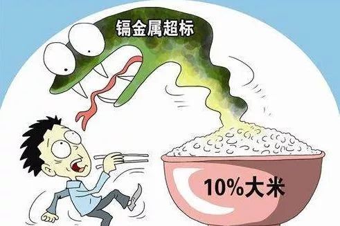 拿什么拯救我的你,拿什么拯救我的植物