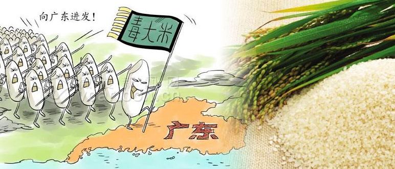 拿什么拯救我的你,拿什么拯救我的植物