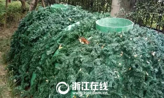 杭州武林壹号2010,杭州高档小区武林壹号