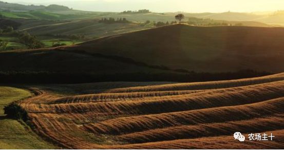 拿什么拯救你的自己,拿什么拯救你歌曲