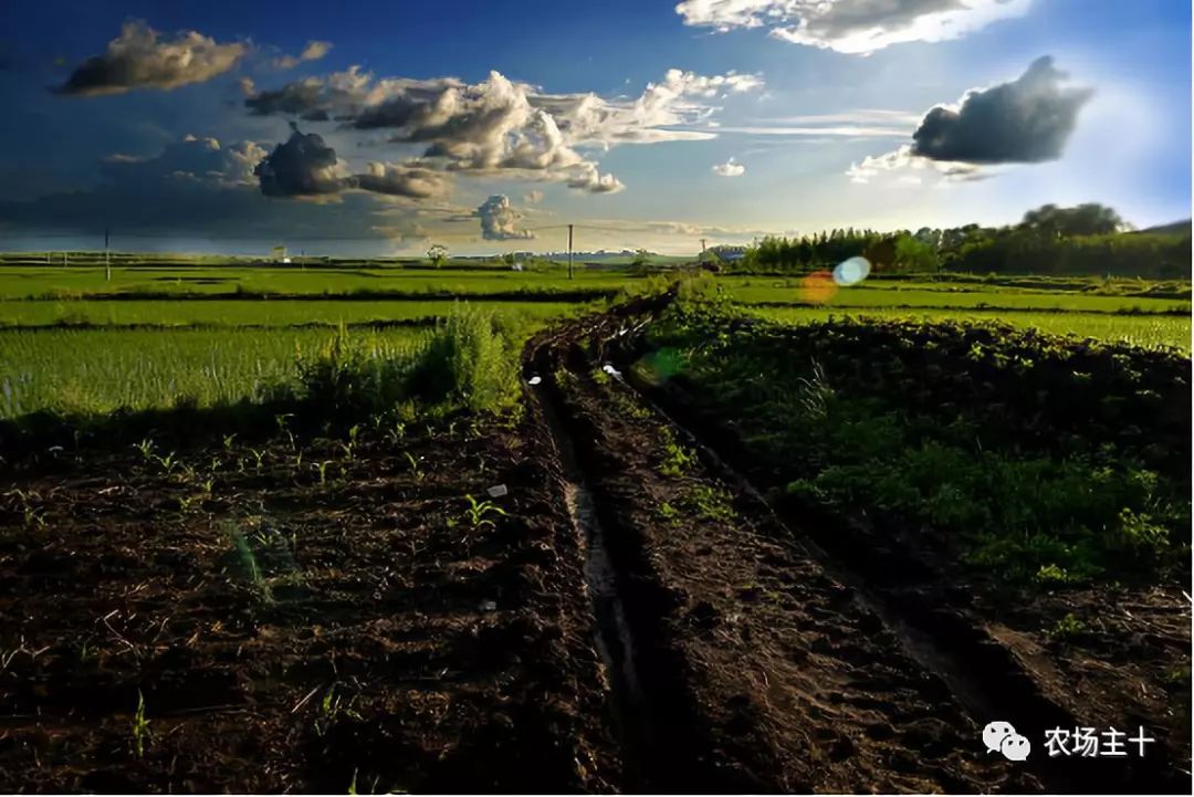 拿什么拯救你的自己,拿什么拯救你歌曲