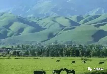 中国民歌经典100首云南民歌,最好听的30首民歌