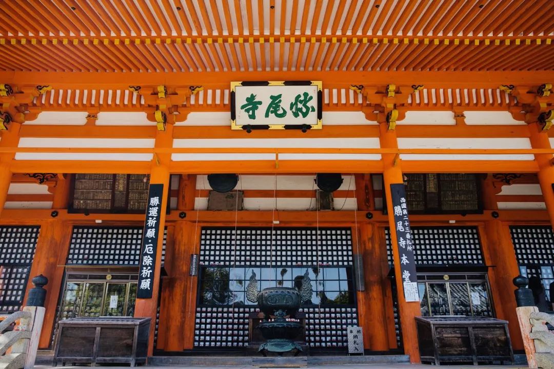 大阪｜你错过了这座带仙气儿的寺庙，以及跳蚤市场和潮牌一条街…