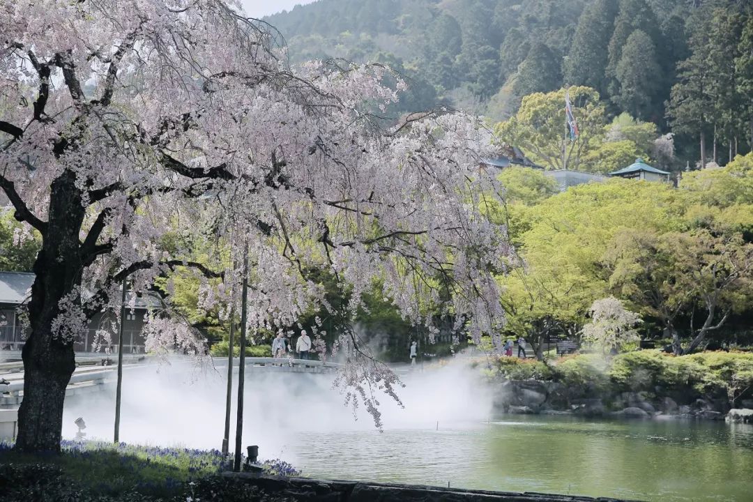 大阪｜你错过了这座带仙气儿的寺庙，以及跳蚤市场和潮牌一条街…