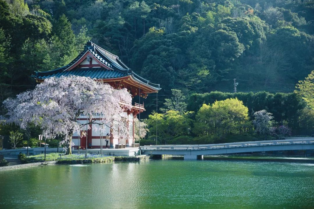 大阪｜你错过了这座带仙气儿的寺庙，以及跳蚤市场和潮牌一条街…