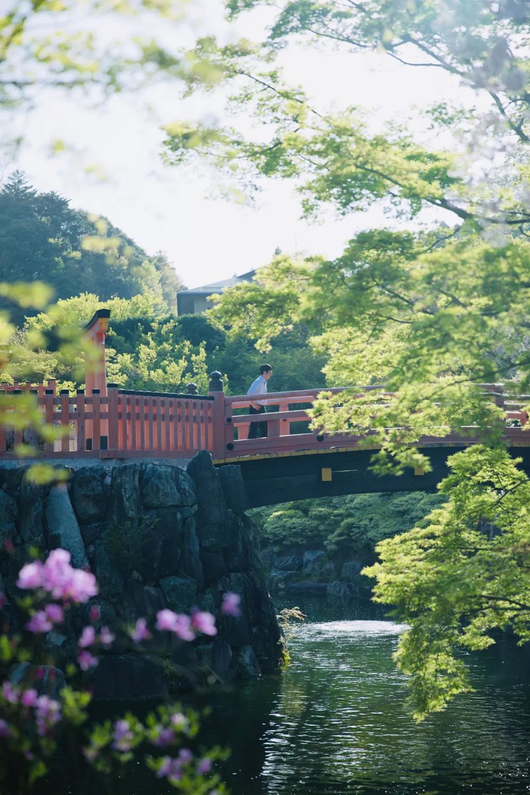 大阪｜你错过了这座带仙气儿的寺庙，以及跳蚤市场和潮牌一条街…