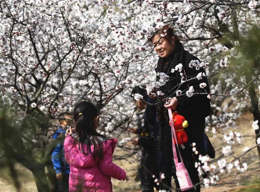 你为什么留在薛城？这是我听过的最好的理由！