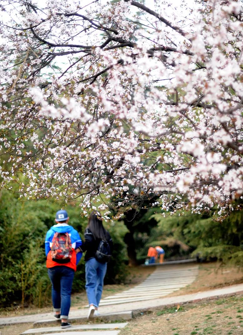 你为什么留在薛城？这是我听过的最好的理由！