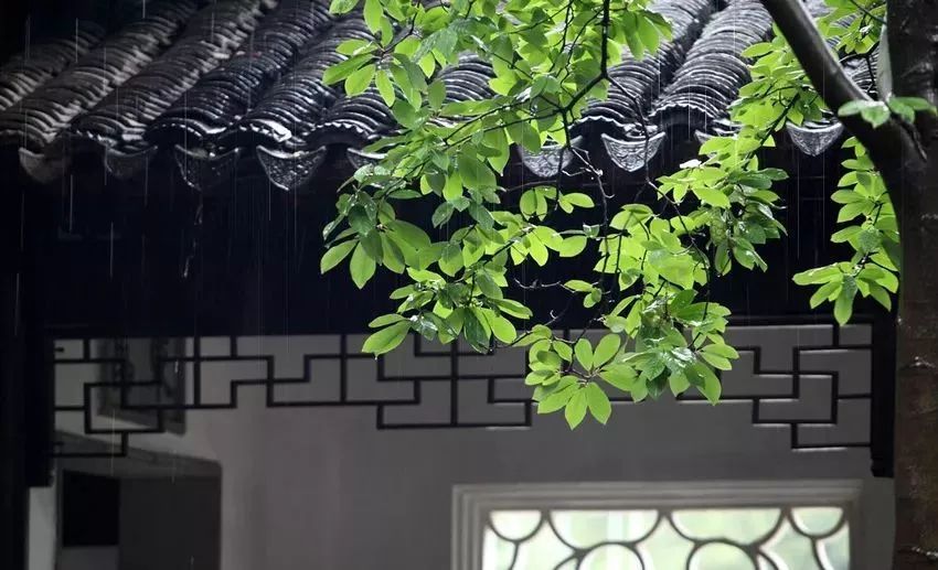 写梅子的诗句,写梅子诗句