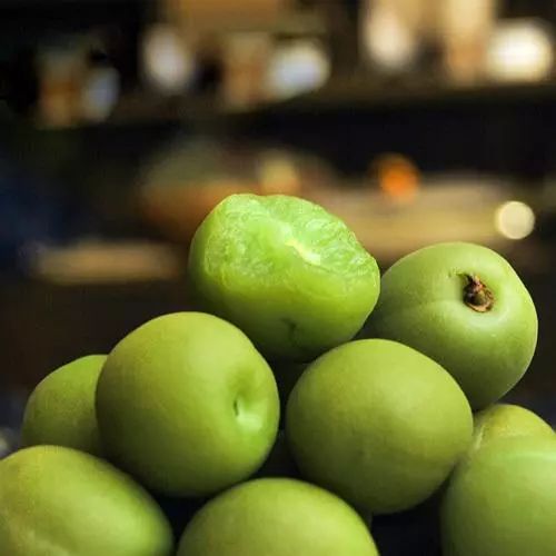 写梅子的诗句,写梅子诗句