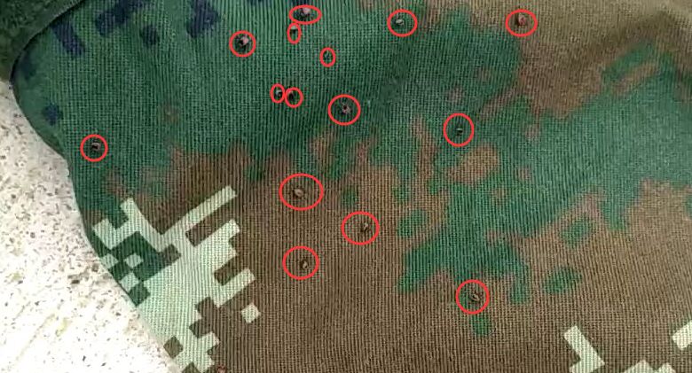 草爬子怎么危及生命,草爬子被咬了怎么拔出来