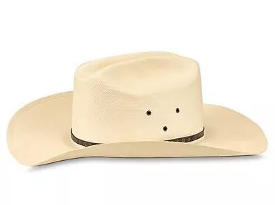 100顶帽子,100个经典帽子