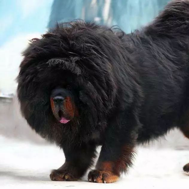 为什么有人把朋友圈设成三天可见,微信怎样把一个人设成三天可见