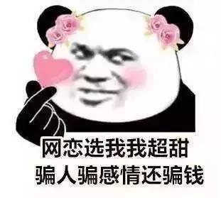 警方捣毁网恋交友5人诈骗团伙,网恋诈骗团伙抓获