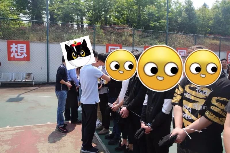 警方捣毁网恋交友5人诈骗团伙,网恋诈骗团伙抓获