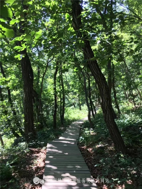 上方山国家森林公园是几级,上方山国家森林公园在哪