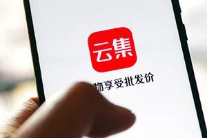 社交电商新玩家,社交电商平台下一匹崛起的黑马