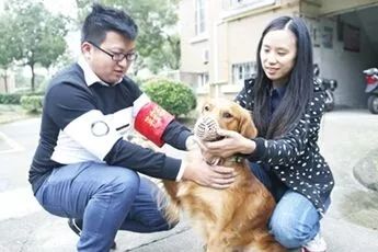 养狗交50万押金违法吗,养狗每年要交钱吗