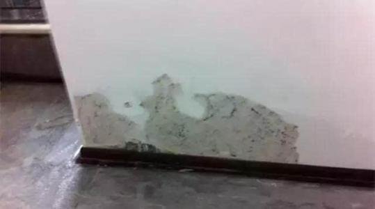 家里墙体发霉翻新刷墙,墙壁发霉刷漆可以吗