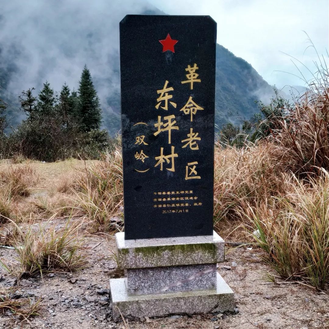 广西百色村民抗疫感动视频,为朴实勇敢的村民点赞