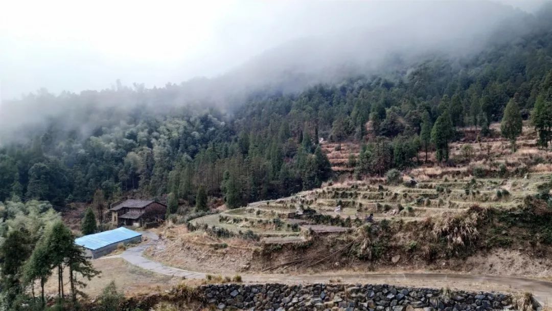 广西百色村民抗疫感动视频,为朴实勇敢的村民点赞