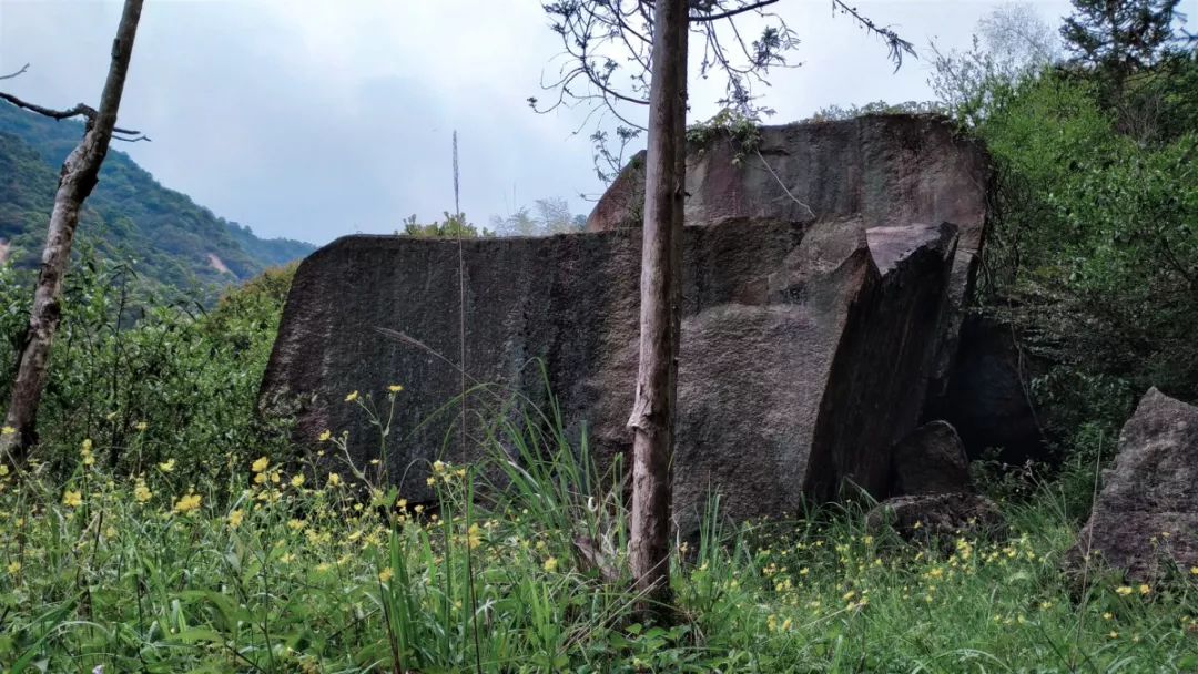 广西百色村民抗疫感动视频,为朴实勇敢的村民点赞