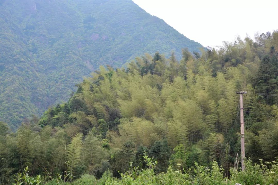 广西百色村民抗疫感动视频,为朴实勇敢的村民点赞