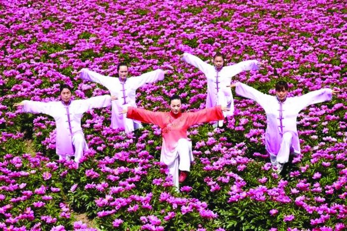 亳州凤凰古城,亳州最具代表的美景