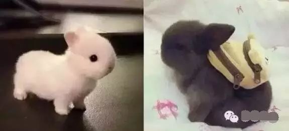 军训生存技巧大全,新生军训求生指南