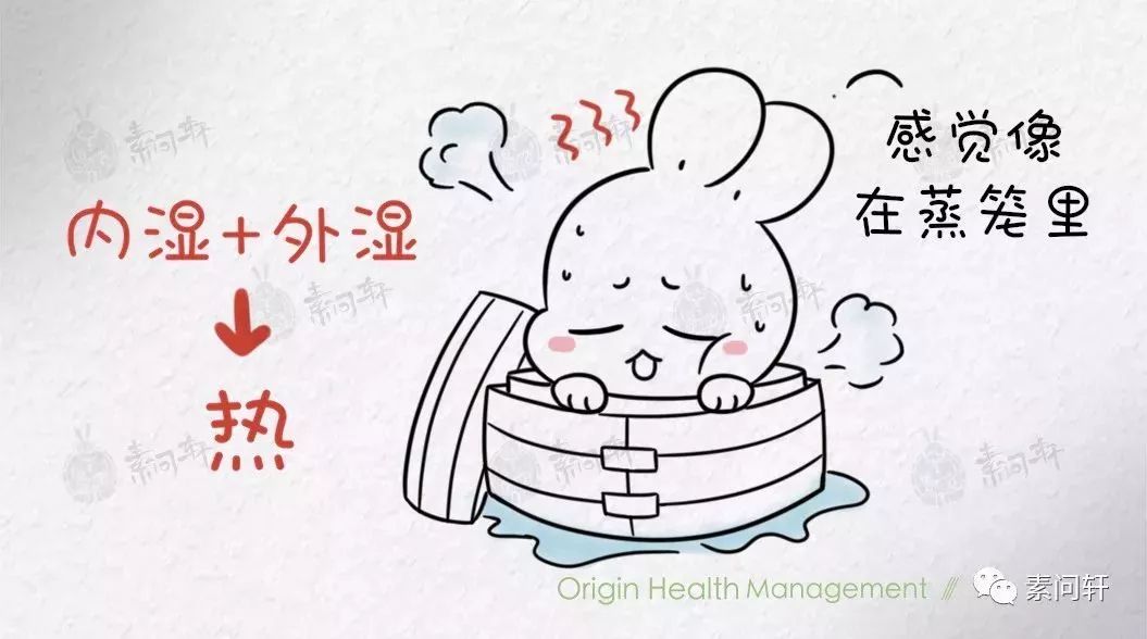 如何判断湿热还是湿寒体质,怎么判断是湿热体质