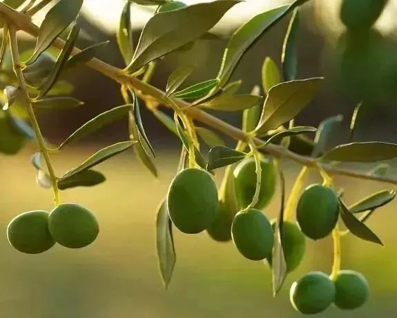 男人也要防晒吗,男士应该防晒吗