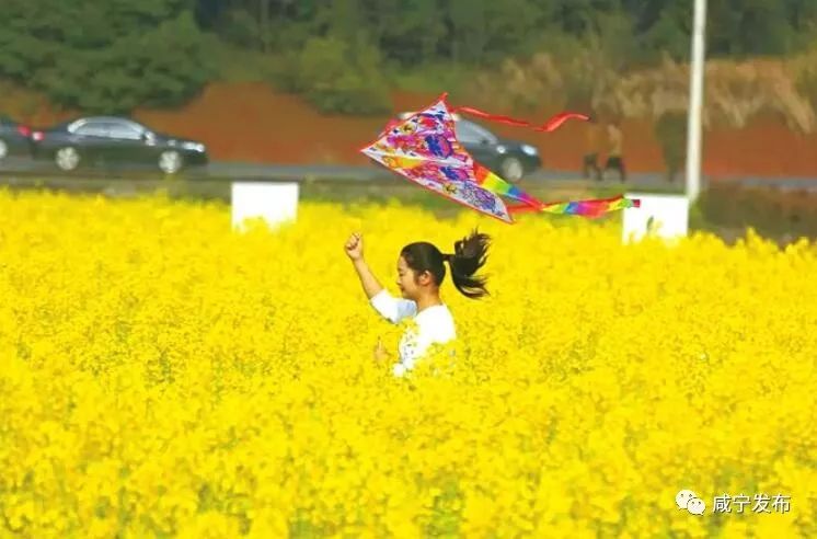 聚焦高质量引领新发展,聚焦高质量发展主题