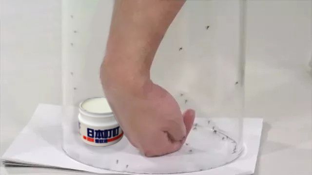 日本最好用的蚊虫膏 (日本变态蚊子膏价格)