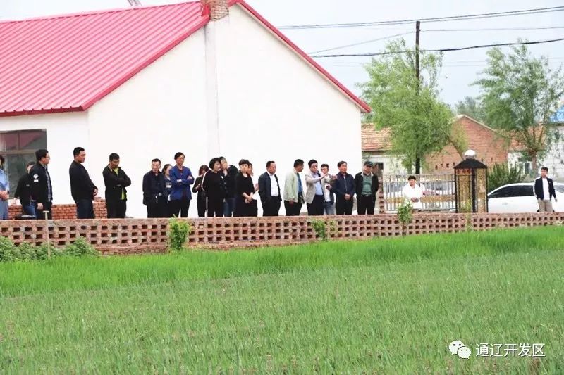 活力开发区,活力最新直播回放