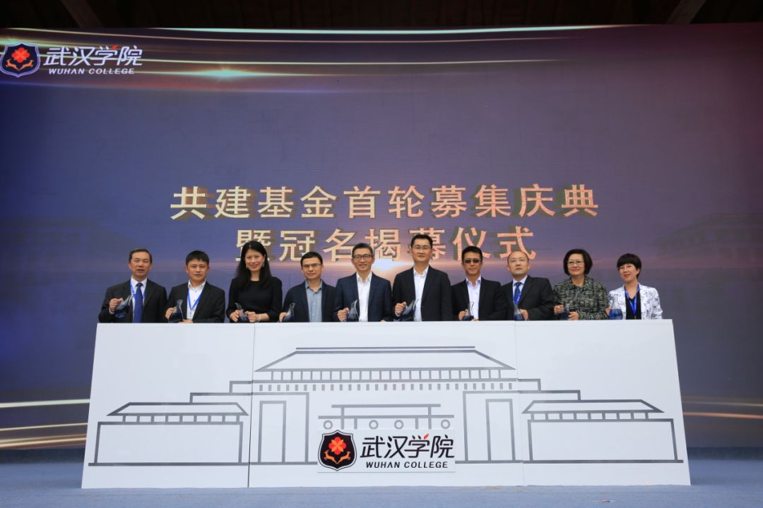 武汉学院陈一丹投资多少亿了,武汉这所大学为什么这么厉害