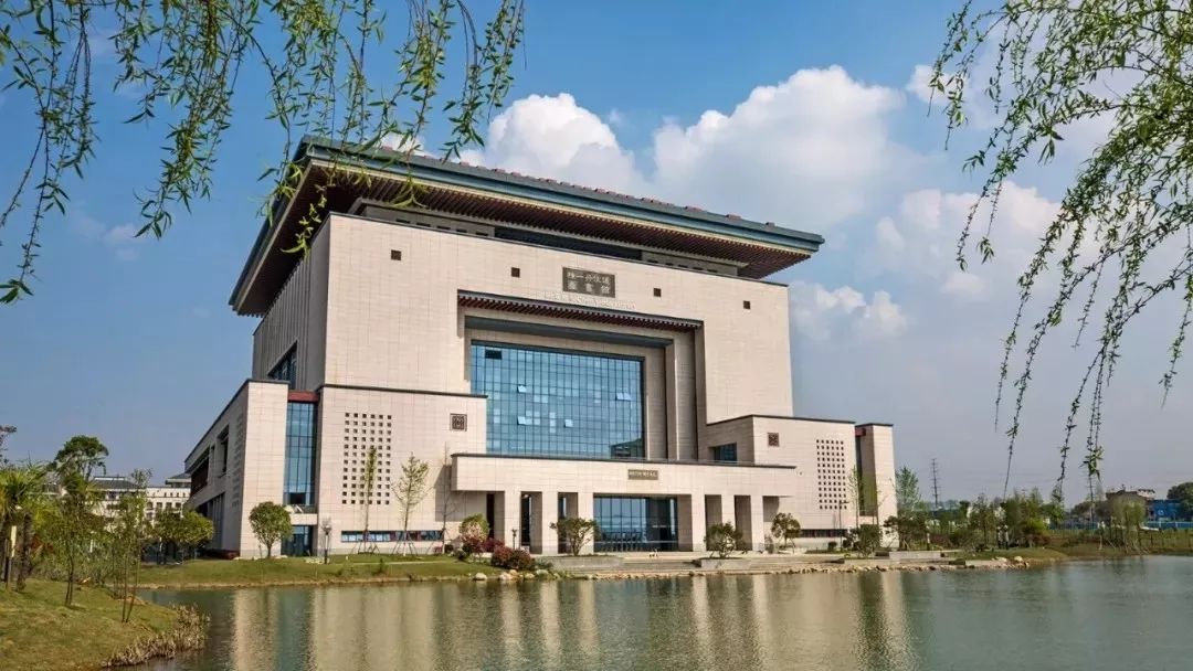 武汉学院陈一丹投资多少亿了,武汉这所大学为什么这么厉害