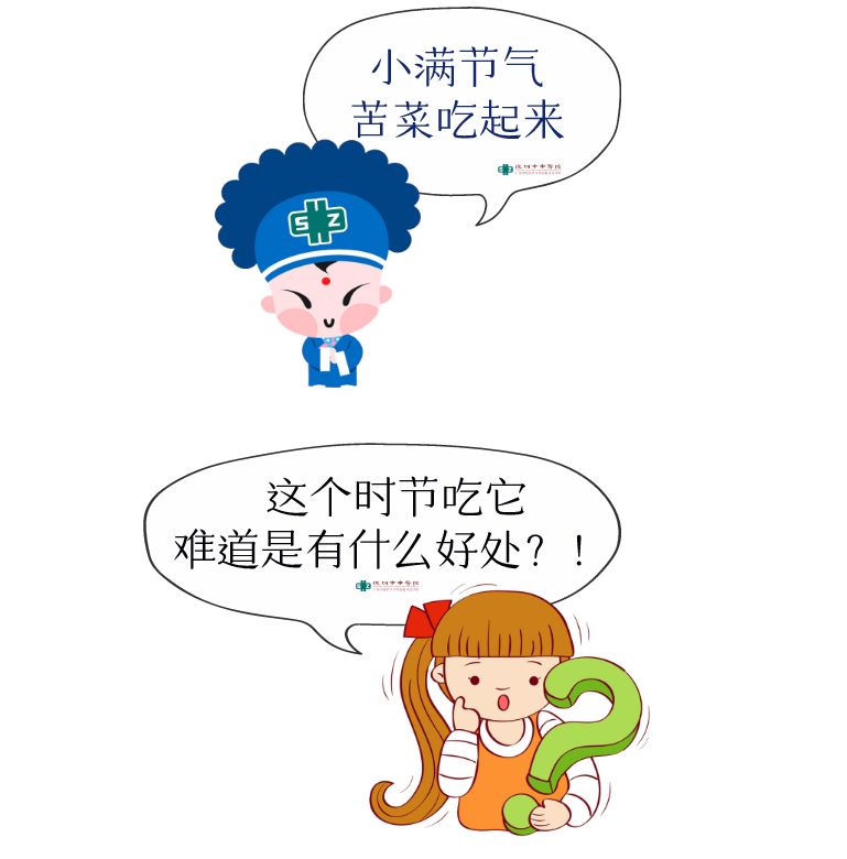 每日小满的养生知识,小满养生食疗食谱大全