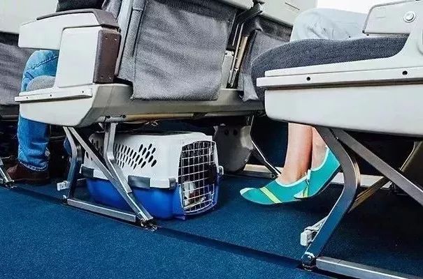 适合夏天穿的出街鞋,夏季出游必备舒适鞋款轻软不累脚