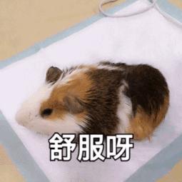 雨+高温！深圳天气开启“下开水”模式？这些地方还将停水、停电