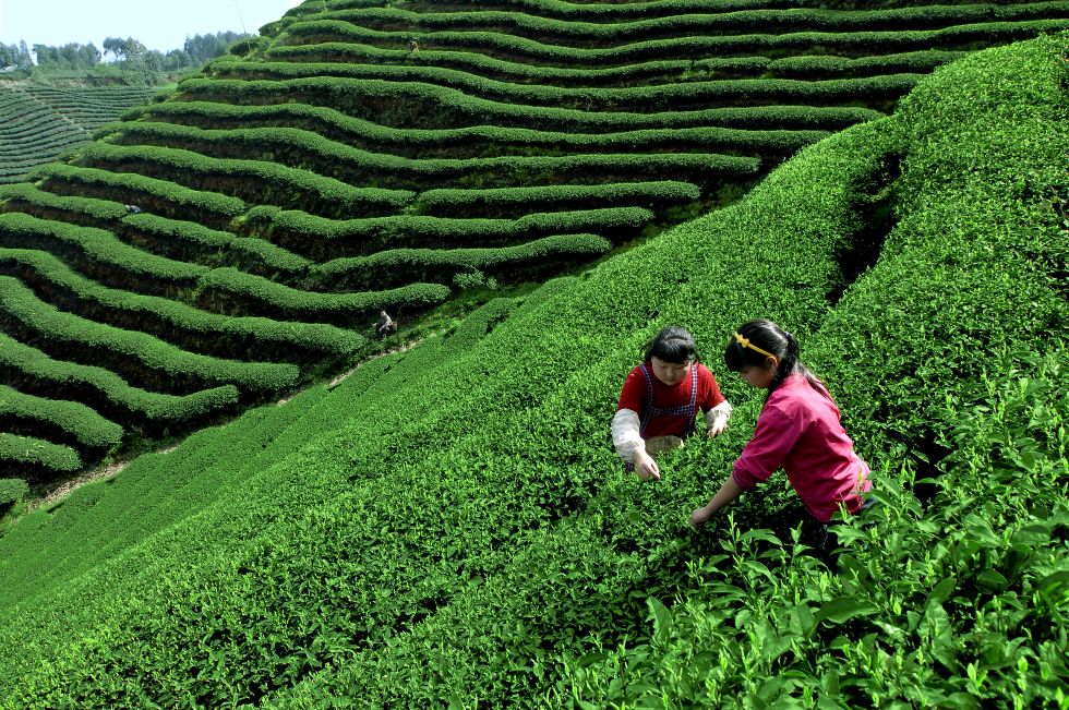 邛崃四川天府旅游名县,四川邛崃平乐古镇