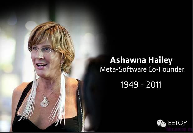 半导体芯片风云,芯片风云4