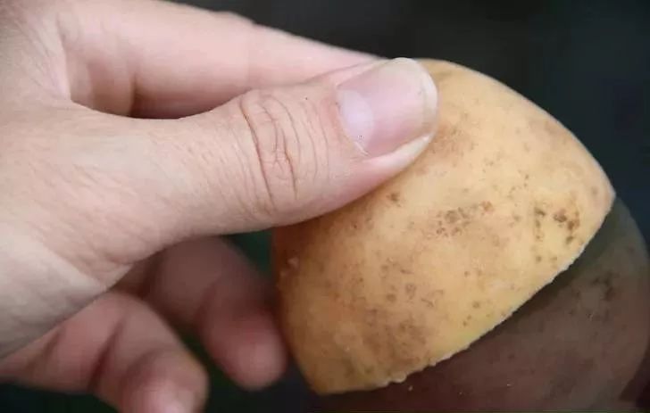 土豆在裤子上涂一下，解决了家家户户的大难题，太实用了