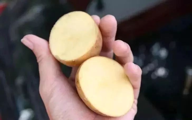 土豆在裤子上涂一下，解决了家家户户的大难题，太实用了