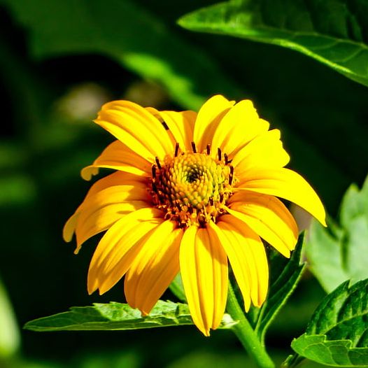 把课堂搬进大自然里,把课堂搬进剧场趣味演绎知识