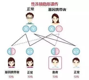 蚕豆病吃了蚕豆会有什么后果,吃蚕豆患病