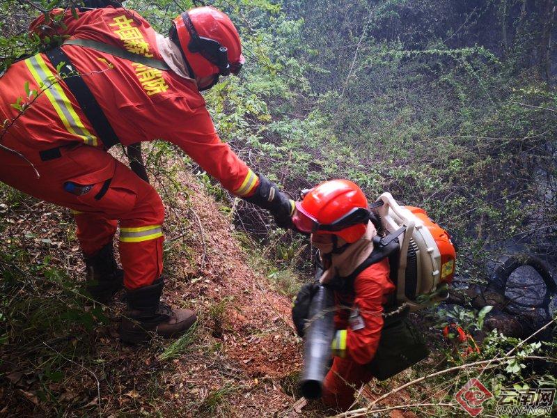 昆明官渡区森林防火支队,昆明森林防火灭火