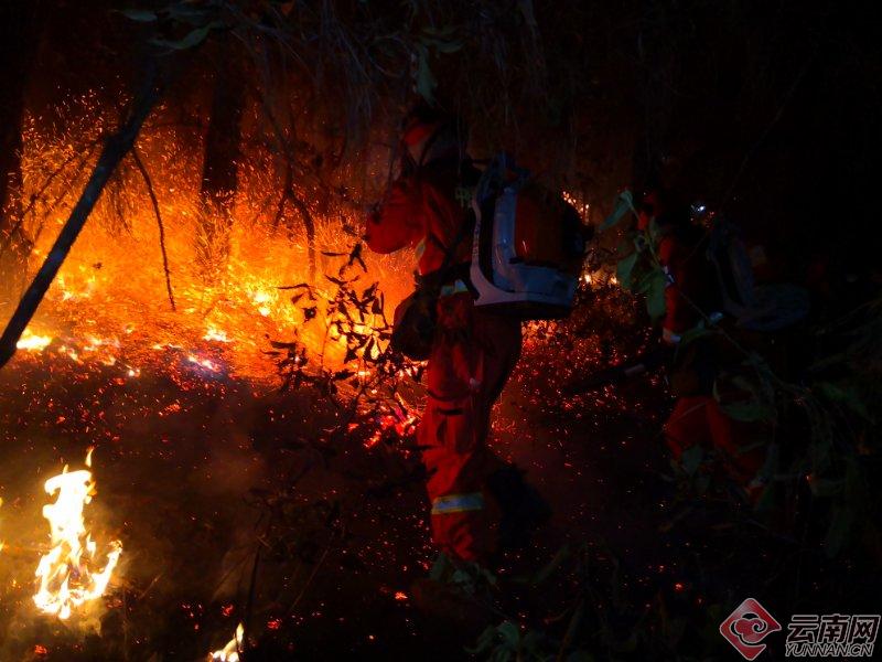 昆明官渡区森林防火支队,昆明森林防火灭火